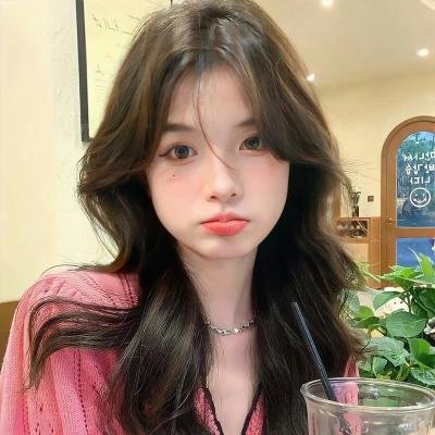 科搜研之女第24季